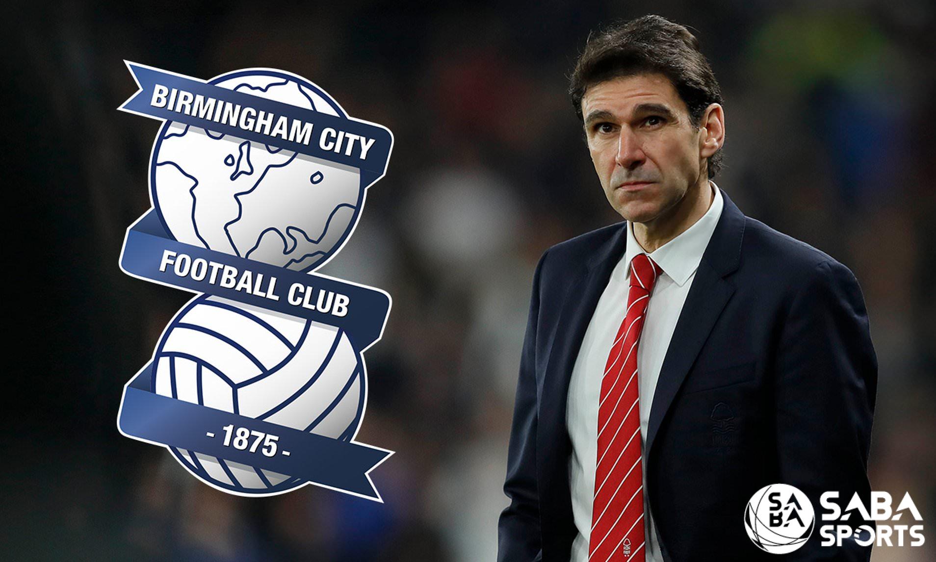 Birmingham bổ nhiệm tân HLV Aitor Karanka