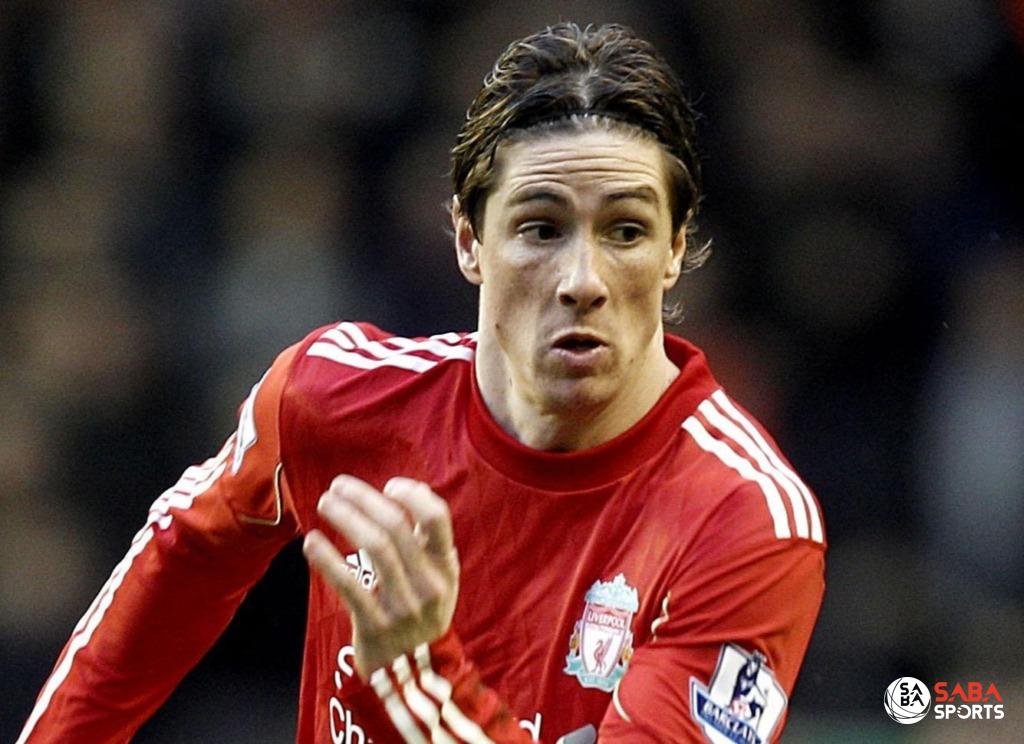 Fernando Torres khi anh chạm đến đỉnh cao sự nghiệp tại Liverpool