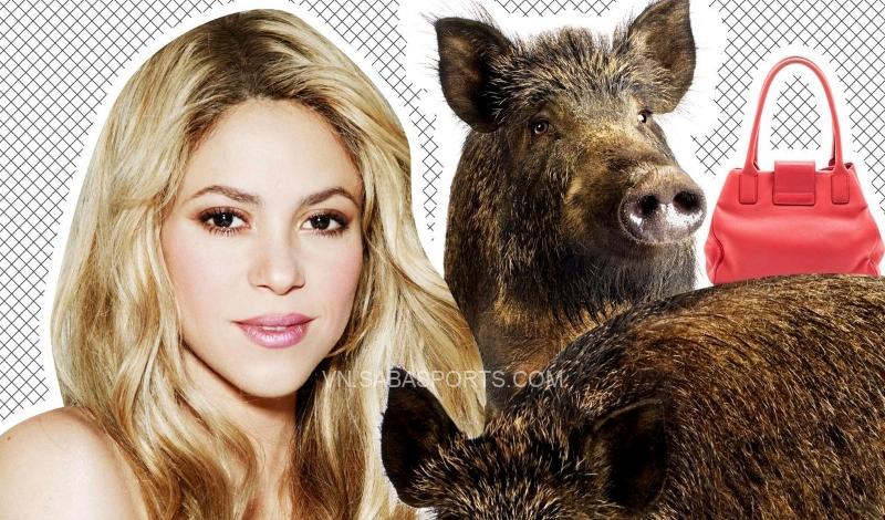 Chiếc túi của Shakira đã tan tành với hai chú lợn