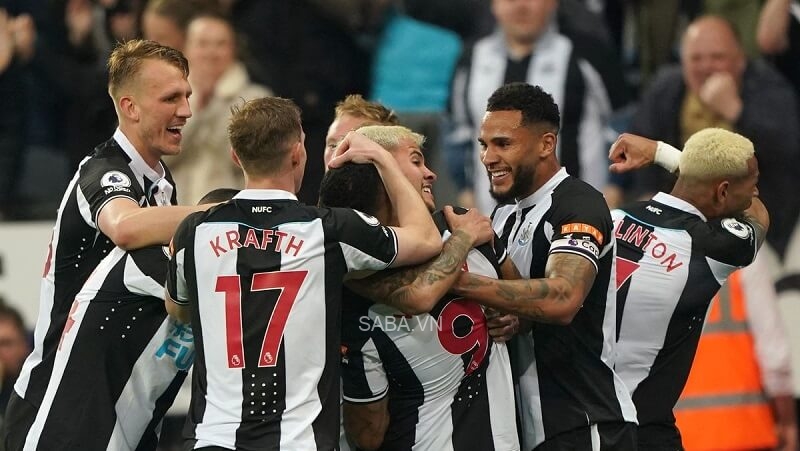 Newcastle đang nuôi tham vọng dự cúp châu Âu