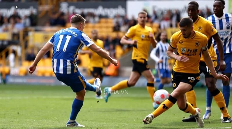 Wolves vừa đón nhận thất bại trước Brighton