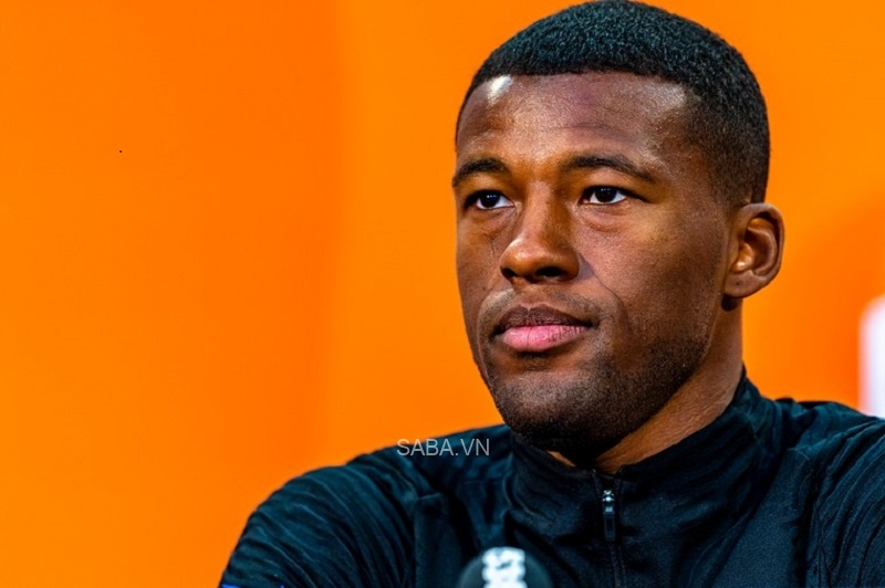 Wijnaldum vẫn đang rất quan trọng với ĐT Hà Lan