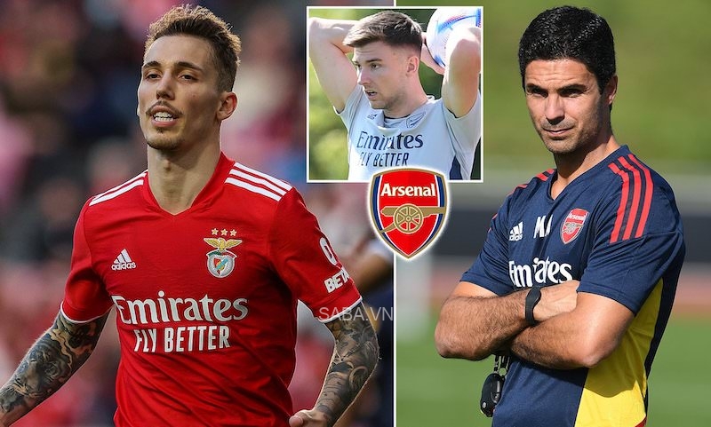 Alex Grimaldo được kỳ vọng sẽ cạnh tranh quyết liệt với Tierney