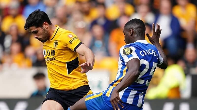 Moises Caicedo thể hiện ấn tượng trong màu áo Brighton