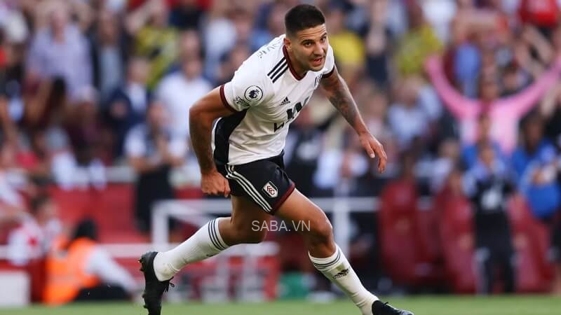 Mitrovic đã ghi bàn vào lưới cả Liverpool lẫn Arsenal