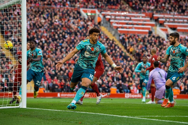 Che Adams gỡ hòa cho Southampton chỉ 3 phút sau bàn mở tỷ số của Firmino