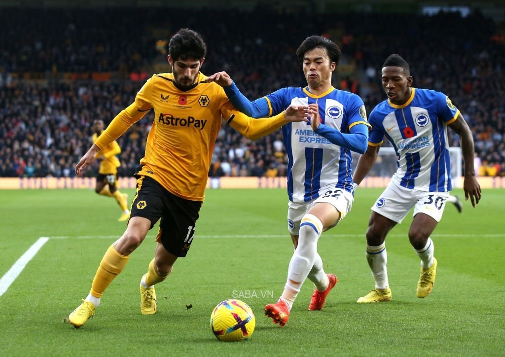 Wolves và Brighton hòa nhau 2-2 sau hiệp một