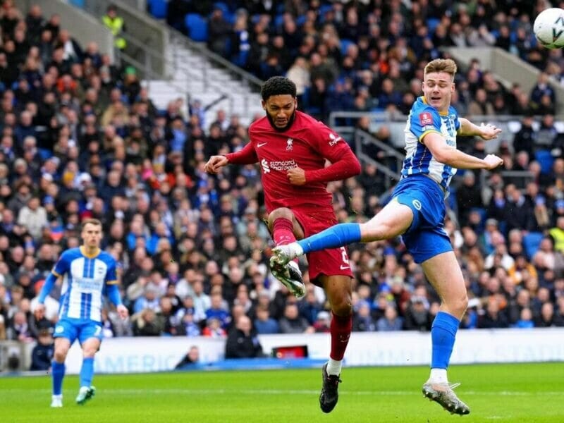 Ferguson tin tưởng môi trường ở Brighton tốt hơn Liverpool