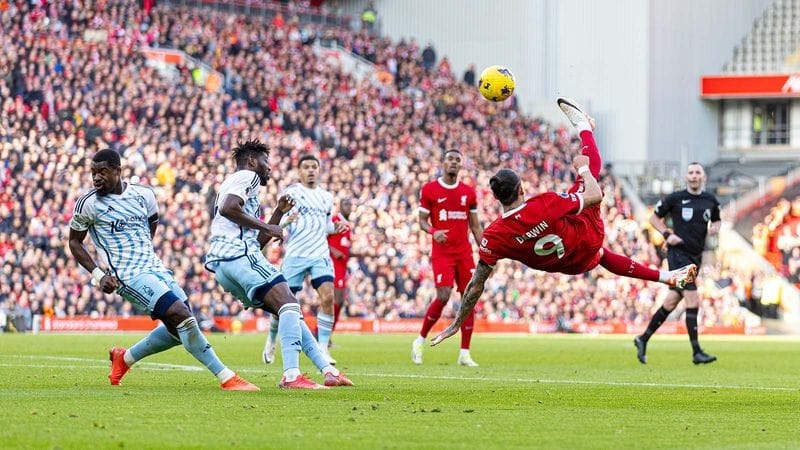 Liverpool đang có phong độ hủy diệt 