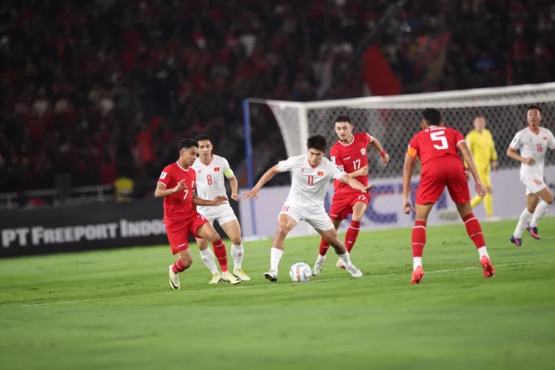 Việt Nam vs Indonesia, ĐT Việt Nam