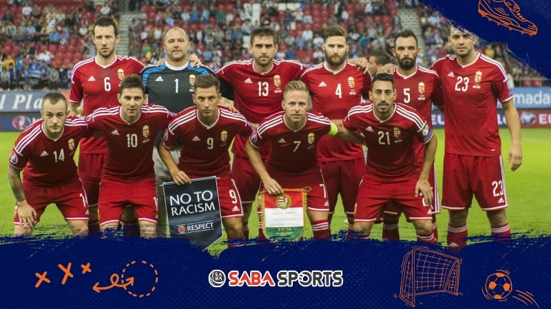 Euro 2016 đánh dấu sự trở lại của Hungary ở đấu trường quốc tế