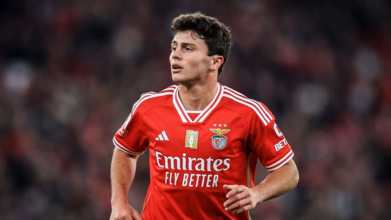 Joao Neves, Benfica