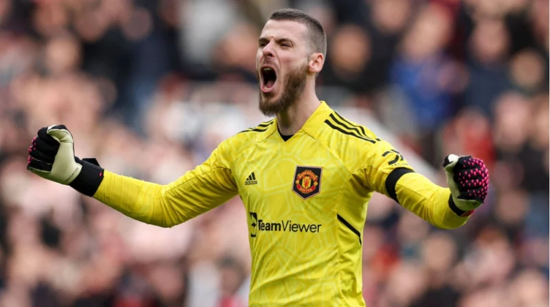 David de Gea, Man United