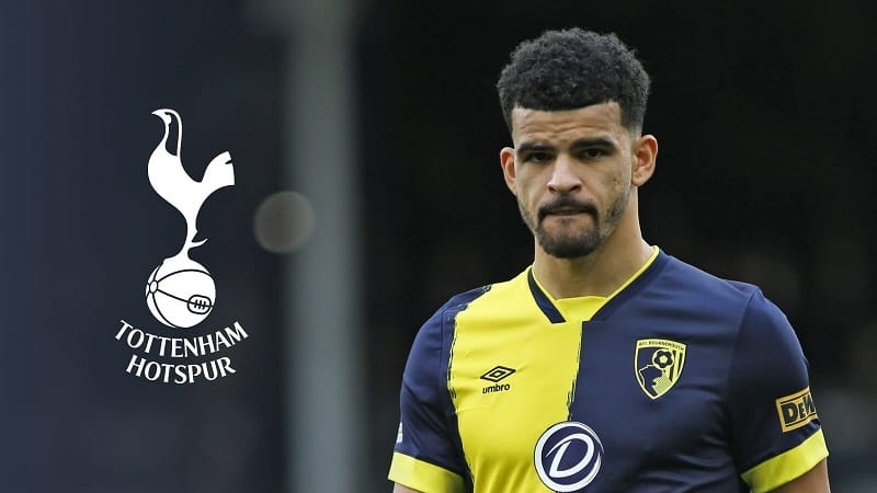 Dominic Solanke ghi được 21 bàn ở mùa vừa qua.