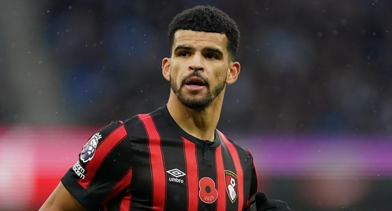 Solanke trong màu áo Bournemouth